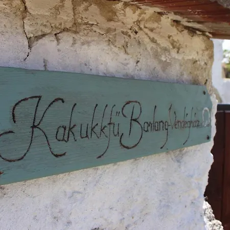 Kakukkfu Barlang-vendeghaz Lodge Noszvaj