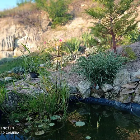 Lodge Kakukkfu Barlang-vendeghaz *