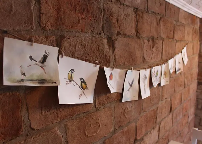 Kakukkfu Barlang-vendeghaz Lodge